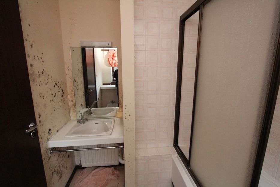 painting over water damaged/mouldy plaster boards www